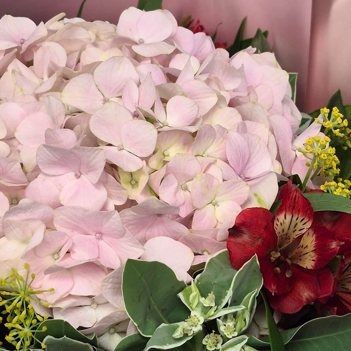 Best Mum In The World