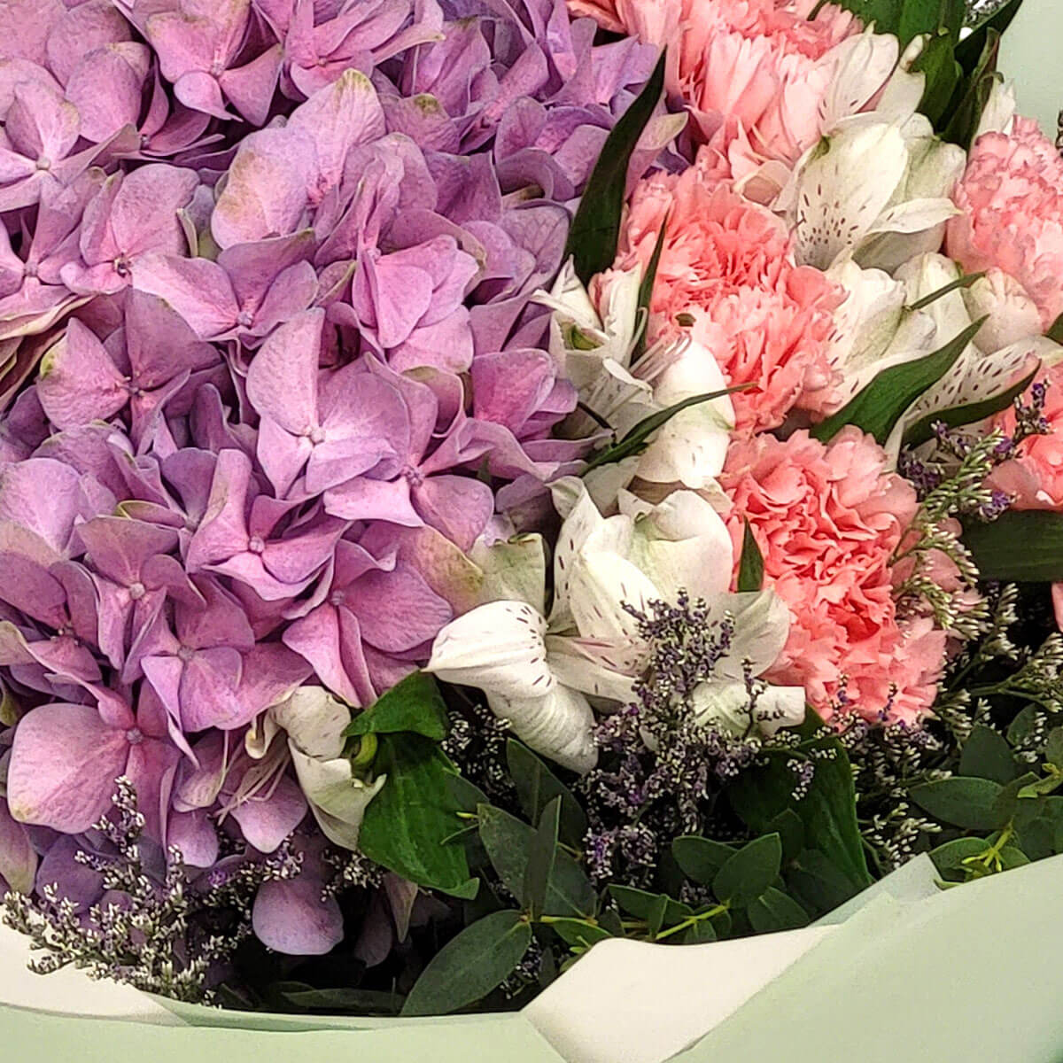 Lavender hydrangeas, pink carnations, and white alstroemeria bloom in harmony 淡紫繡球花、粉康乃馨與白六出花相互輝映,綠葉紫花點綴其中,散發柔美與自然氣息。