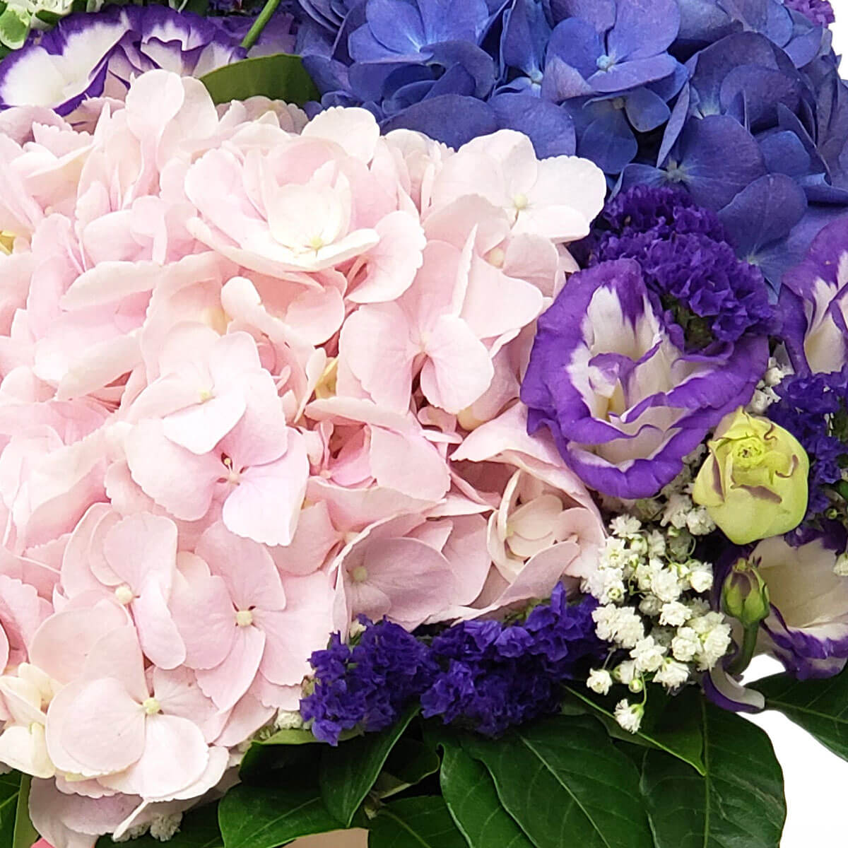 A close-up of pastel pink hydrangeas paired with ruffled purple lisianthus, rich violet statice, and delicate baby's breath – 粉紅繡球搭配皺邊紫桔梗、深紫勿忘我與細緻滿天星特寫