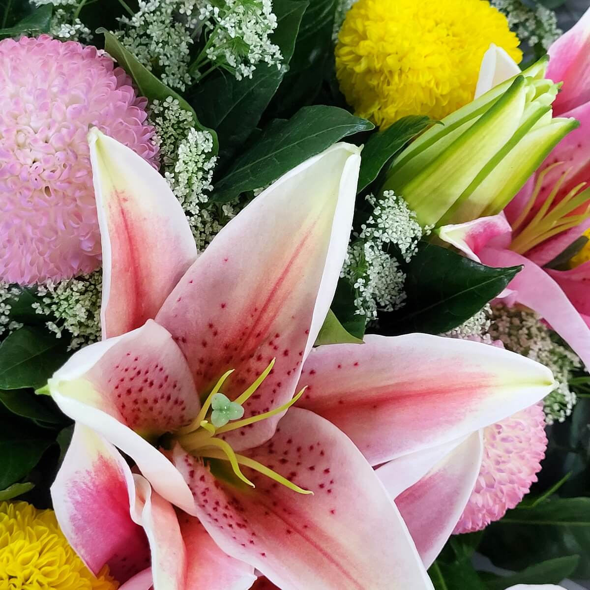 Close-up of pink Stargazer lilies accented with yellow and pink button chrysanthemums, white filler flowers | 粉色百合襯以黃色及粉色乒乓菊與白色襯花特寫，細節清晰可見