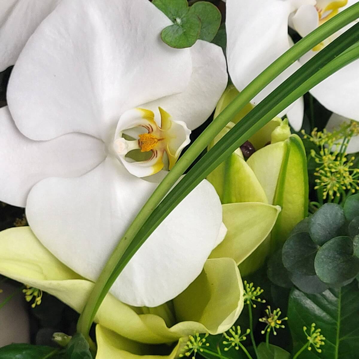Zoomed-in view of white phalaenopsis orchid and pale yellow lily buds with eucalyptus and delicate green fillers. 白蝴蝶蘭與黃百合花苞特寫，搭配尤加利葉及綠色細葉配草。