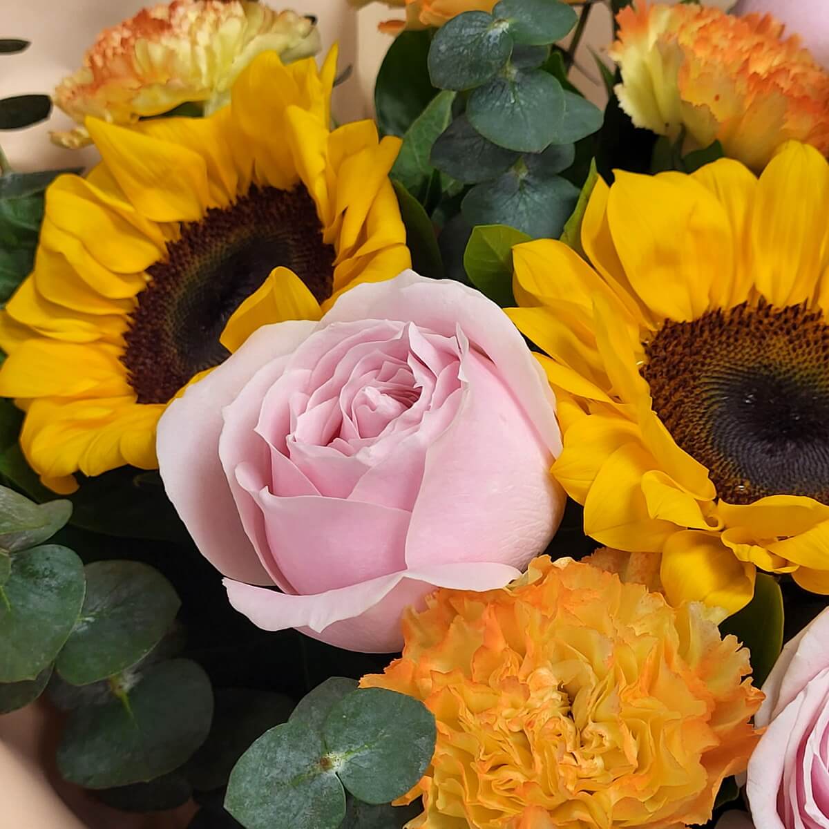 Macro view of delicate pink rose, bold sunflower, vibrant two-tone carnation, and round eucalyptus foliage 粉紅玫瑰、鮮亮向日葵、橙黃雙色康乃馨與圓形尤加利葉特寫