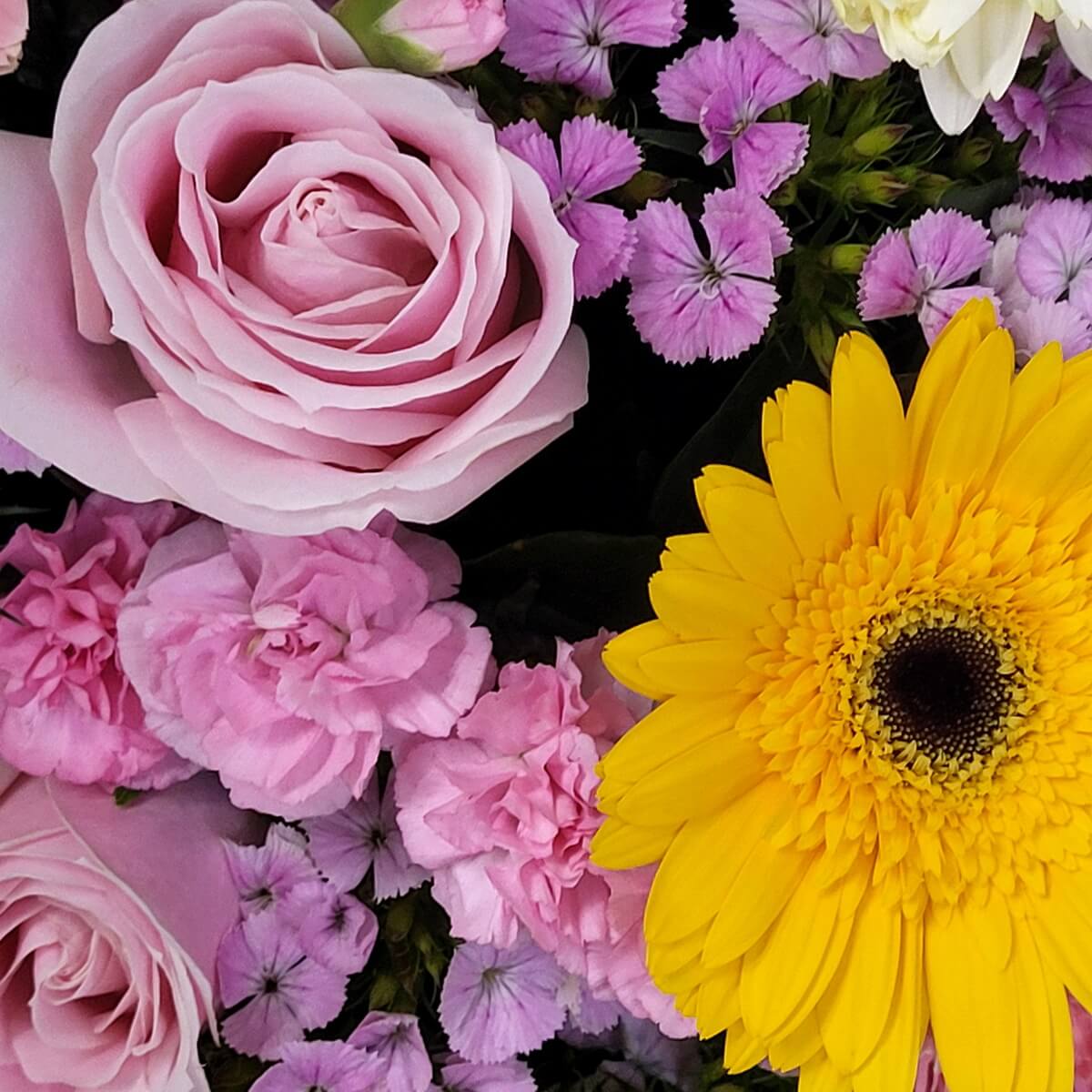 Close-up of bright yellow gerbera daisy with pink roses, ruffled pink carnations, and light purple dianthus blooms | 鮮黃非洲菊襯以粉玫瑰、粉康乃馨及淺紫石竹花特寫，色彩對比鮮明