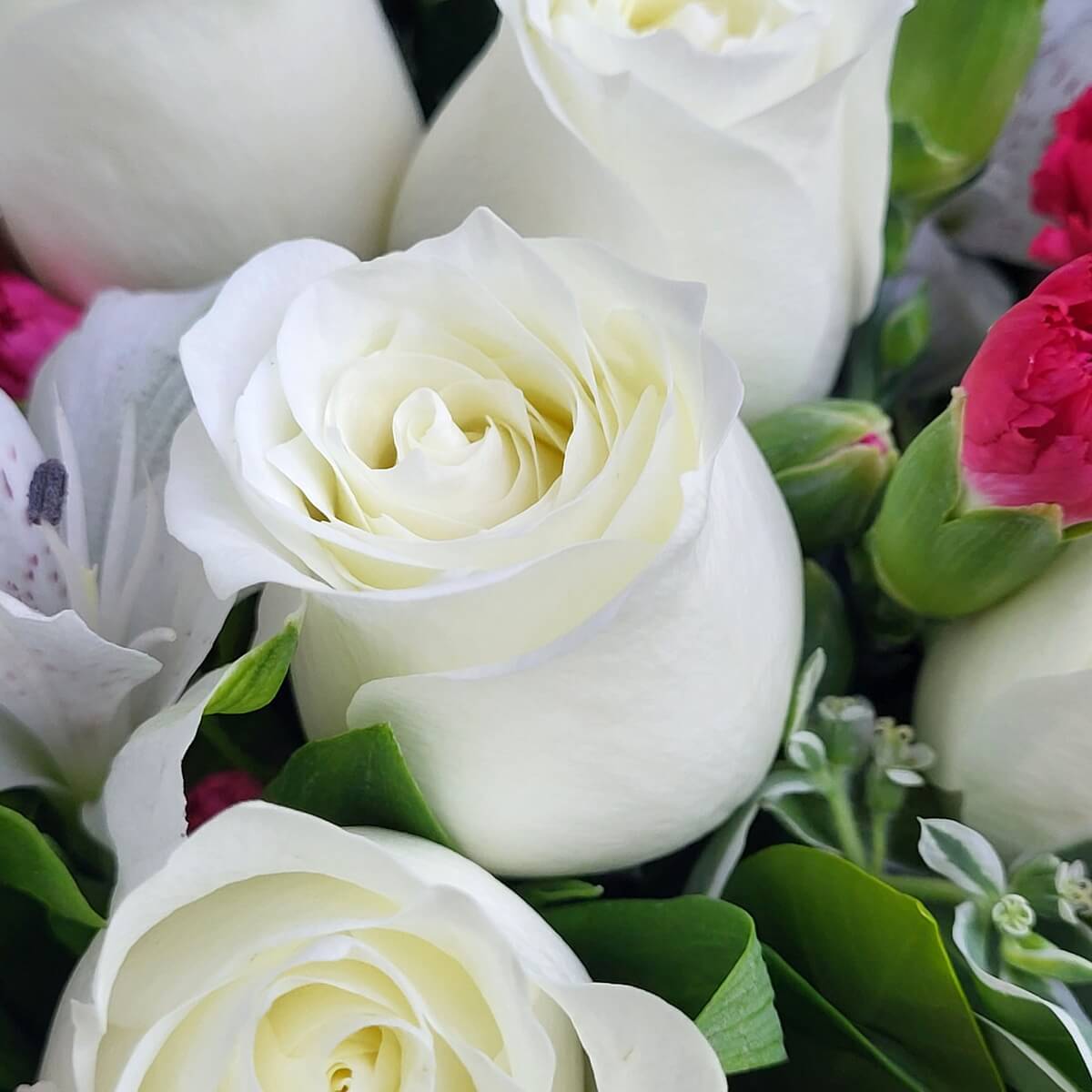Close-up of creamy white roses surrounded by pink carnations, white alstroemeria, and lush greenery. 白玫瑰與粉紅康乃馨、白色六出花和繁茂綠葉的細節畫面。