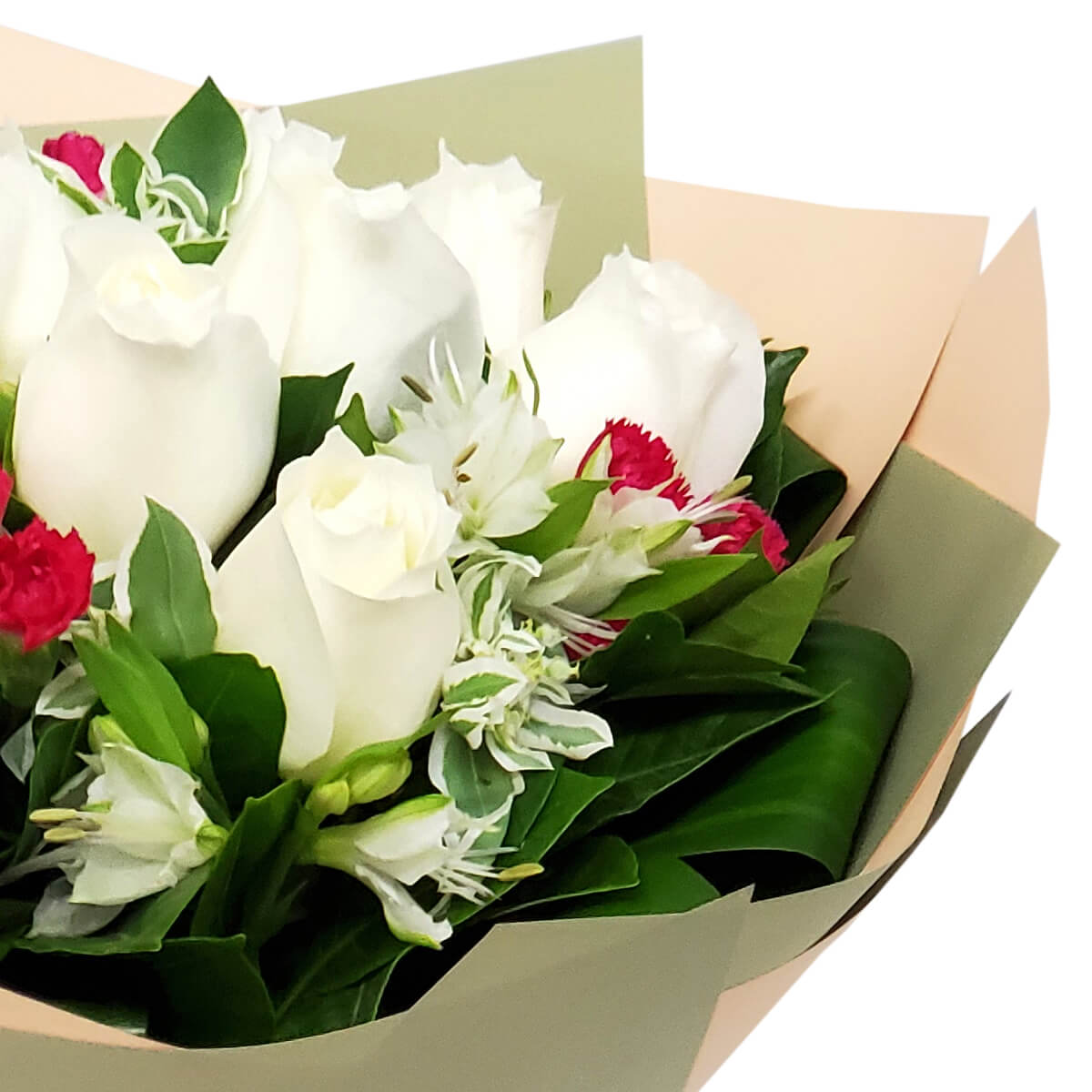 Detail view of white roses, striped white alstroemeria, and vibrant pink mini carnations arranged with glossy green foliage in soft-toned wrapping. 白玫瑰、白色條紋六出花及粉紅迷你康乃馨特寫，配亮綠葉及柔色包裝紙。