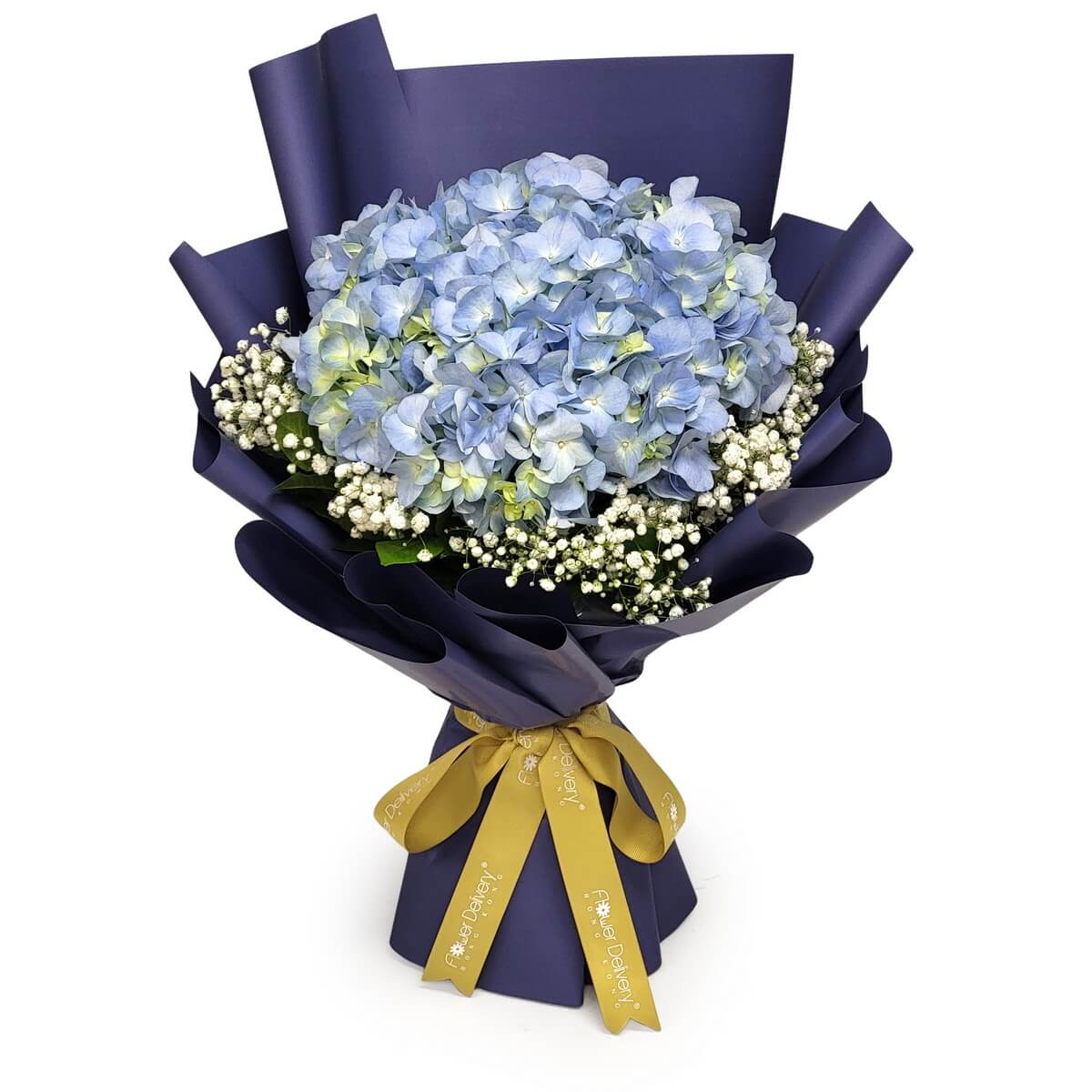 Light blue hydrangeas with white baby's breath, wrapped in navy paper. 深藍色包裝襯托淺藍繡球花與白色滿天星。