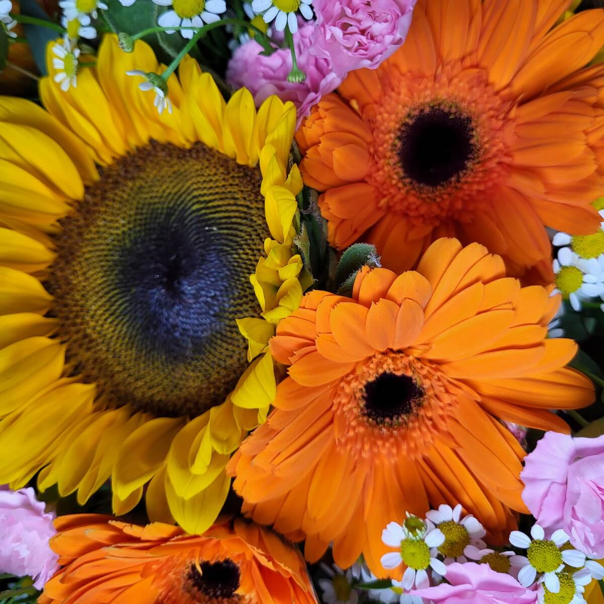 Zoomed-in look at vibrant sunflowers and orange gerberas mixed with chamomile—an uplifting bouquet to brighten birthdays or recovery. | 近距欣賞太陽花與橙色非洲菊，搭配洋甘菊，為慶生或慰問送上溫馨正能量。