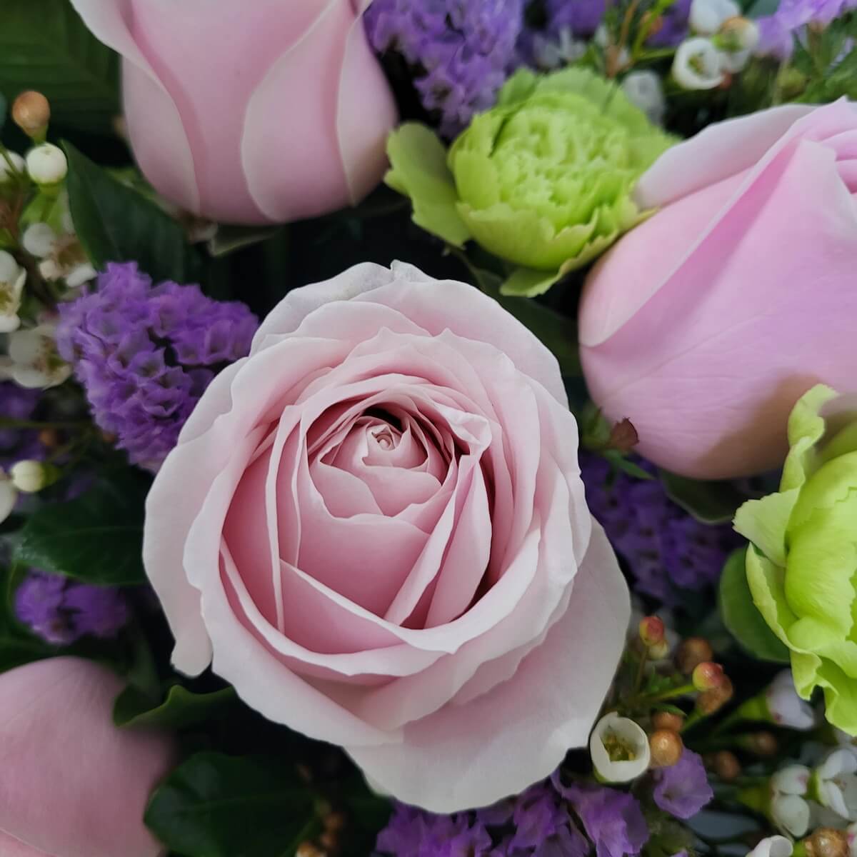 Close-up view of soft pink roses surrounded by green carnations, purple statice, and white waxflowers | 特寫粉紅玫瑰，綠康乃馨、紫勿忘我與白色蠟花襯托其間