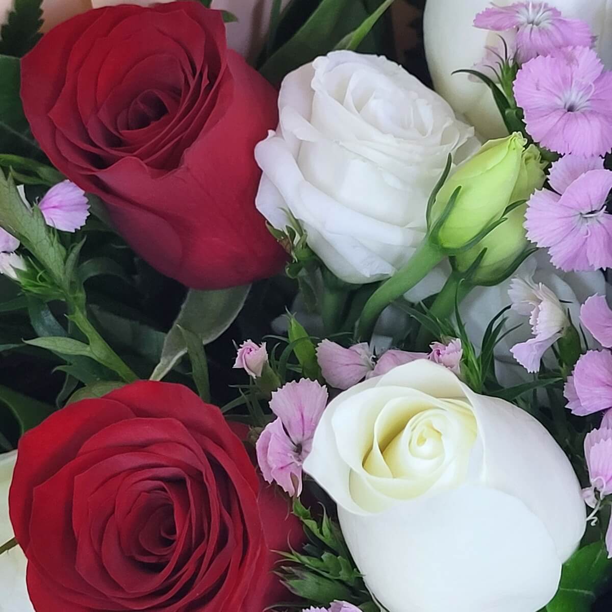 Close-up of red and white roses accented with light pink dianthus and white lisianthus buds | 紅白玫瑰襯以淺粉色石竹花及白色洋桔梗花苞特寫，色彩對比鮮明