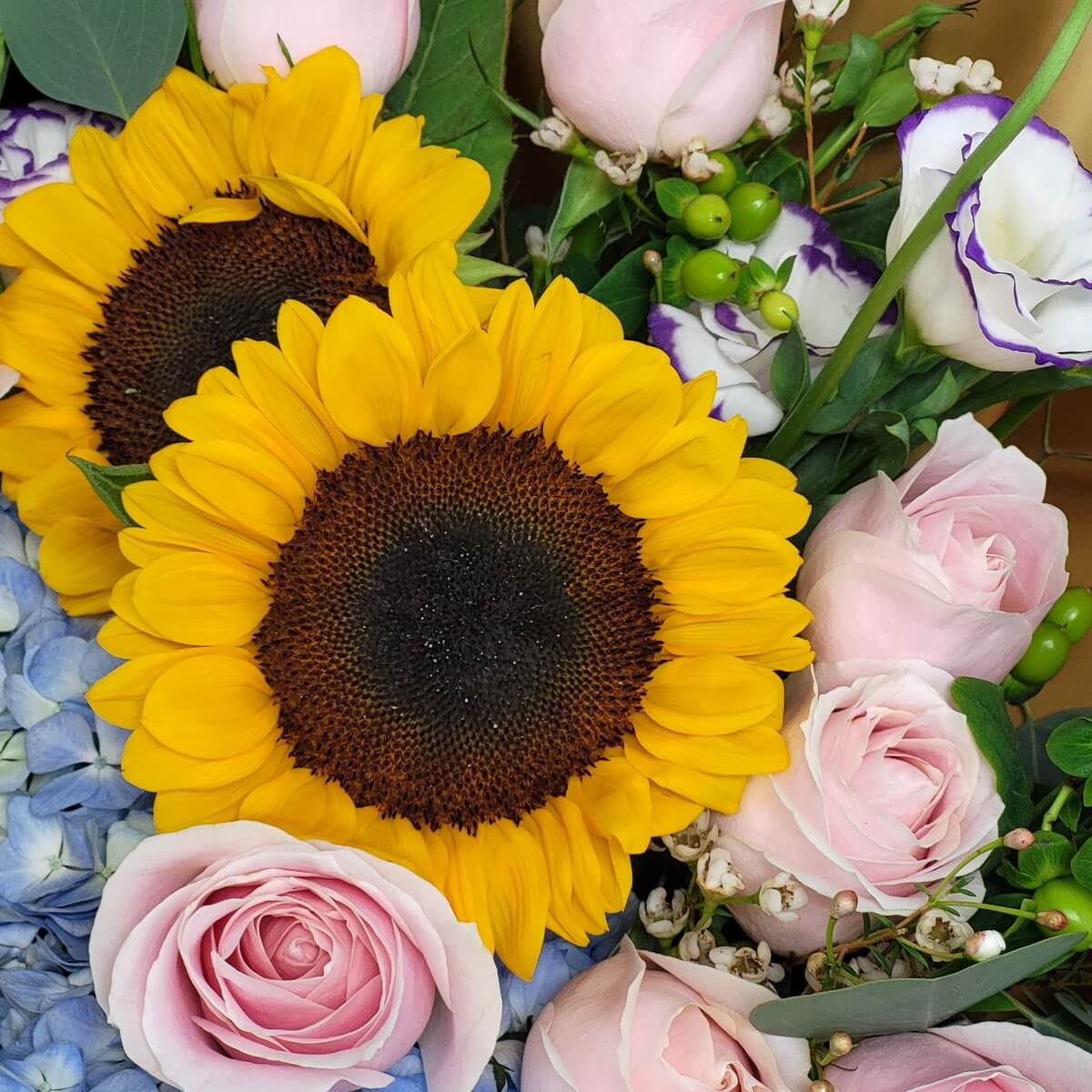 Arrangement with sunflowers, pale pink roses, blue hydrangeas, and white lisianthus with purple edges and greenery | 向日葵、粉玫瑰、藍繡球花與紫邊桔梗，搭配綠葉的混合花束