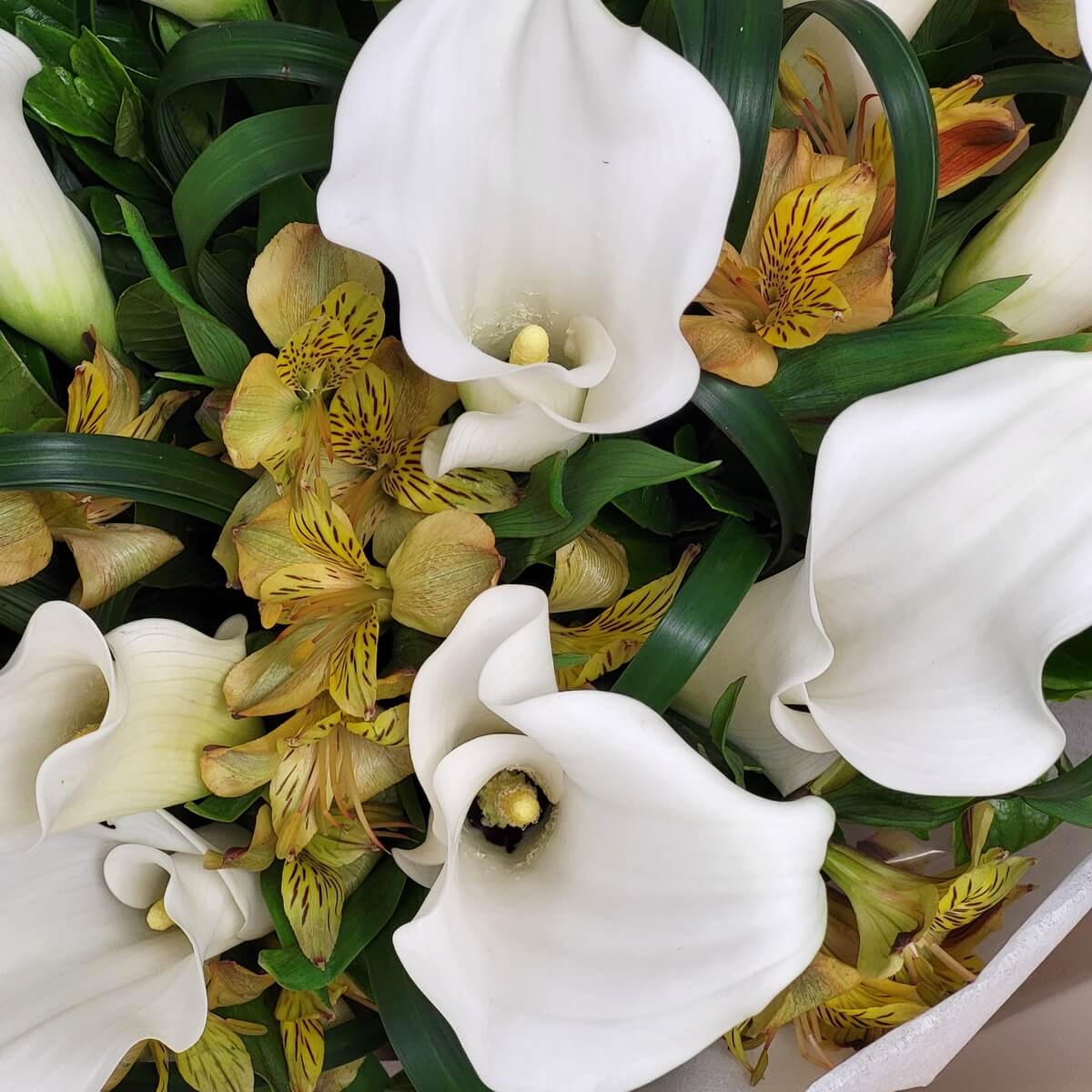 Macro view of white calla lilies and yellow alstroemeria surrounded by lush green leaves. 白色馬蹄蓮與黃色六出花細節，綠葉環繞，清新自然。