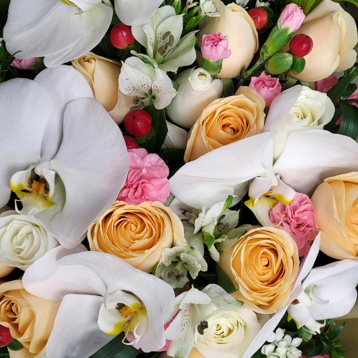 Detailed view of white phalaenopsis orchids, champagne roses, white alstroemeria, pink carnations, red hypericum berries, and green foliage 白蝴蝶蘭、香檳玫瑰、白六出花、粉紅康乃馨、紅色鼠尾草果與綠葉細節特寫