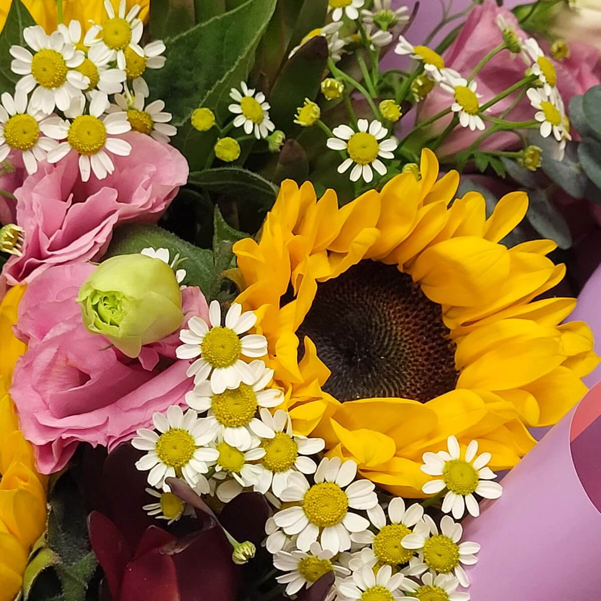 Detailed close-up showing sunflower, white chamomile daisies, open and budding pink lisianthus, and assorted greenery 向日葵、白洋甘菊、小雛菊、盛開與含苞洋桔梗及綠葉細節特寫