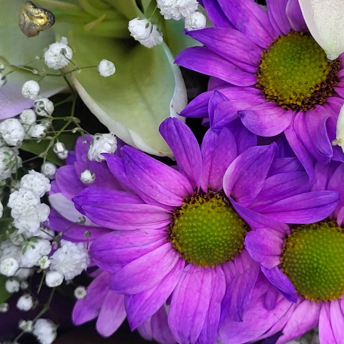 Detail view of purple asters with green centers, accented by baby's breath and pale yellow lily petals | 紫色紫菀特寫，綠色花心鮮明，搭配滿天星與淺黃百合花瓣。