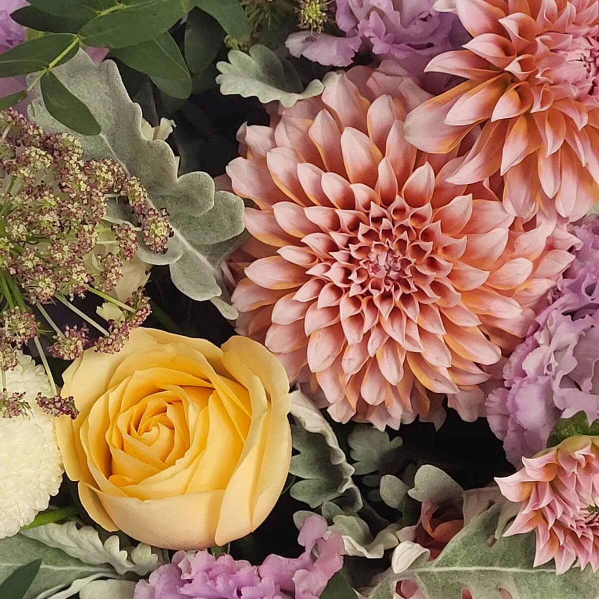 Close-up of dahlia, rose, lisianthus, chrysanthemum, and dusty miller foliage | 大理花、玫瑰、桔梗、小菊及銀葉菊特寫。