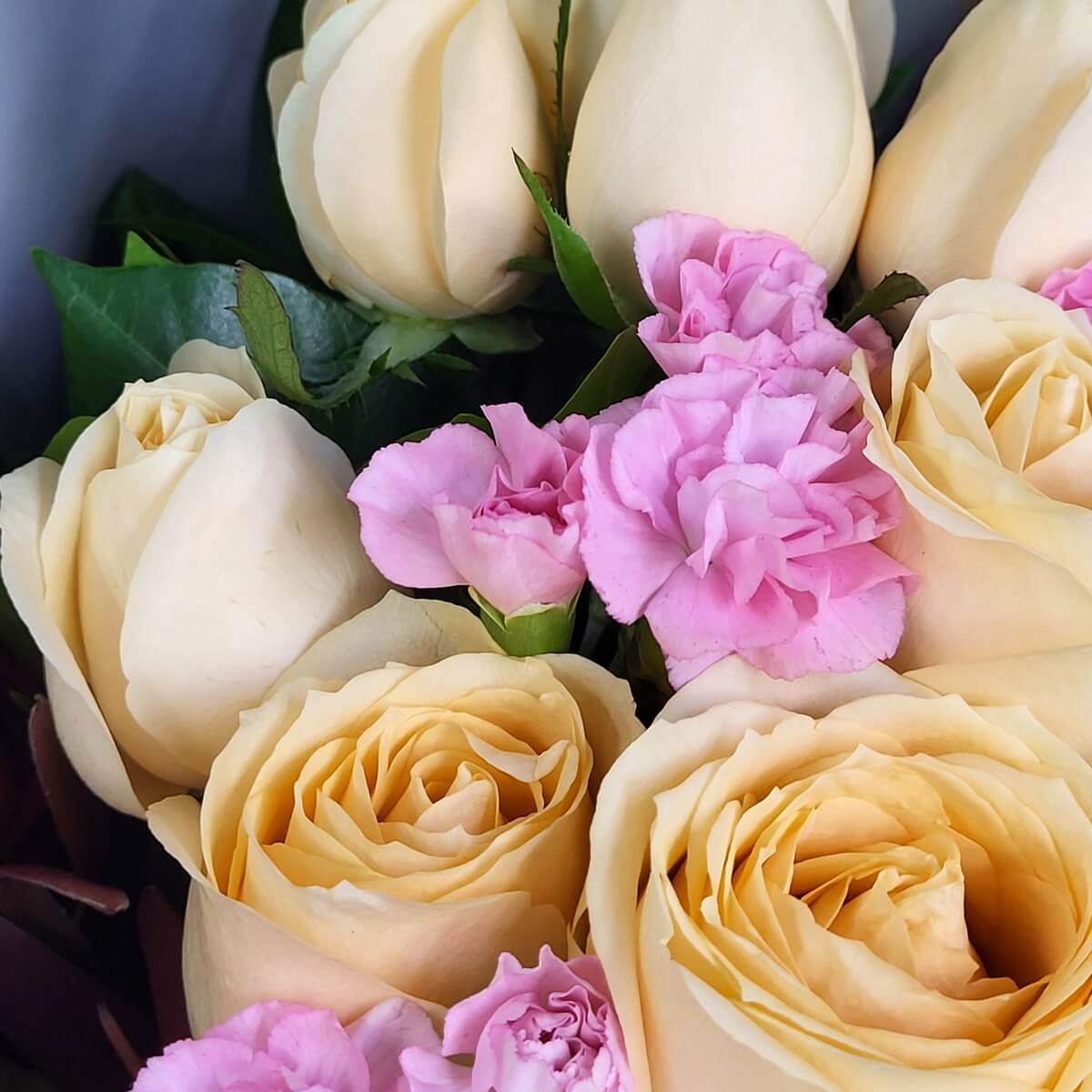 Close-up of champagne roses mixed with delicate light pink carnations, creating a gentle color contrast 
香檳色玫瑰配淡粉康乃馨的特寫畫面，展現溫柔色彩對比。