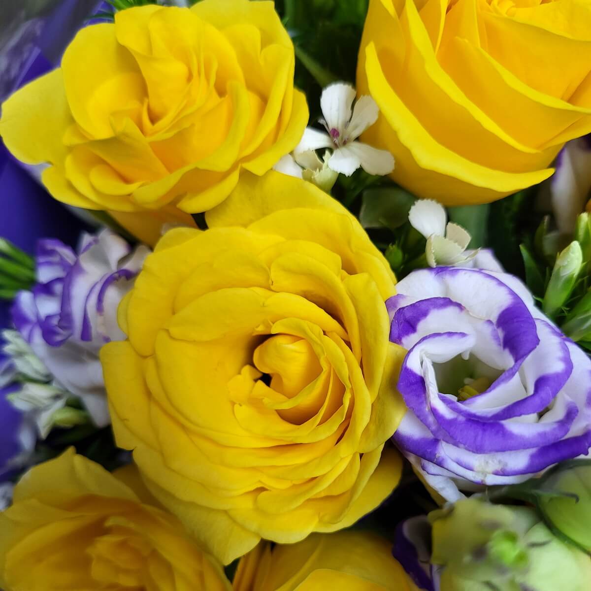 Close-up of vibrant yellow roses paired with purple-edged white lisianthus in a mixed bouquet. 鮮明黃色玫瑰搭配紫邊白色洋桔梗，構成豐富的混合花束特寫畫面。