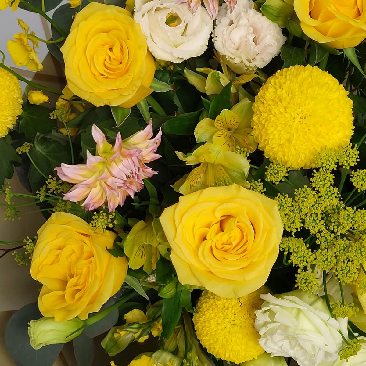 Close-up of yellow roses, button chrysanthemums, white lisianthus, pink dahlia, and yellow alstroemeria with green filler. 黃玫瑰、乒乓菊、洋桔梗、粉紅大麗花及黃色六出花細節特寫。