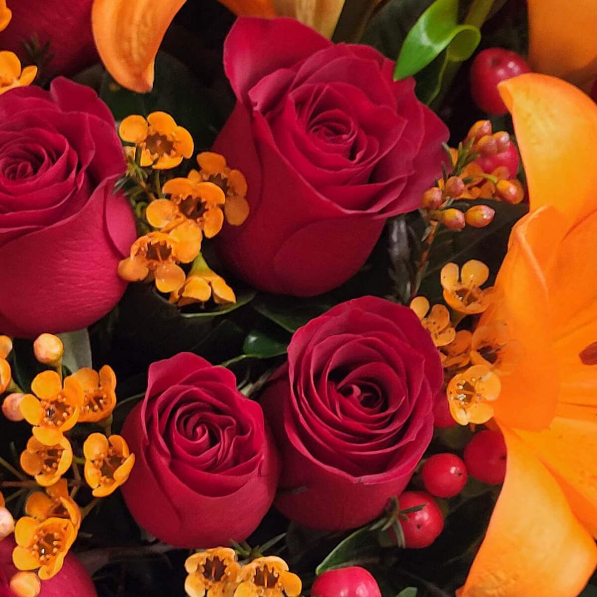 Detail view of blooming red roses accented by orange lily petals, yellow wax flowers, and red hypericum berries nestled in green foliage - 紅玫瑰盛放，配橙百合、黃蠟花、紅朱頂果及綠葉特寫