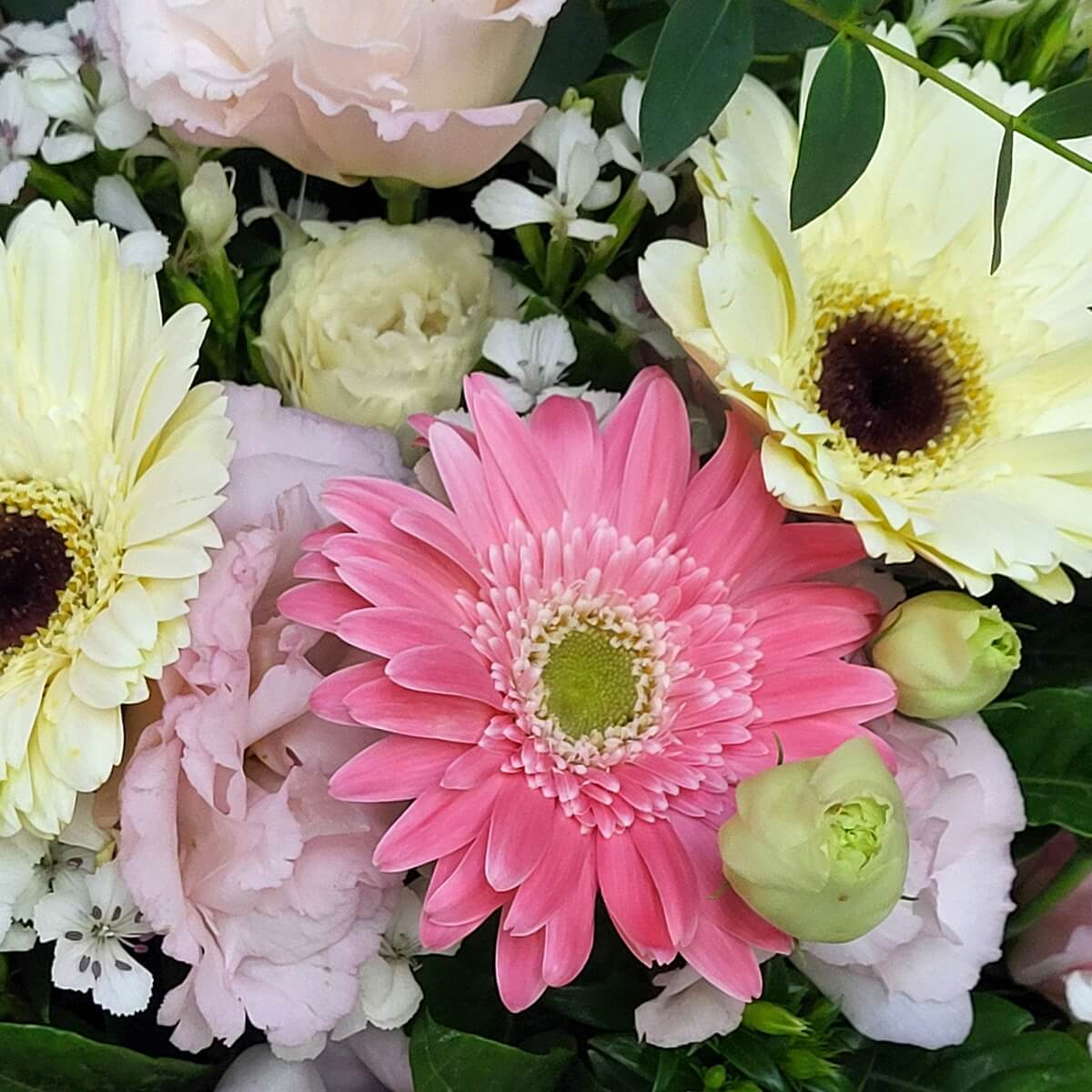 Vivid bouquet of bold pink and pale yellow gerberas, frilled pink lisianthus, delicate white blooms, and green rosebuds | 鮮亮粉紅及奶黃非洲菊，襯以皺邊粉桔梗、星狀白花及翠綠玫瑰花苞，層次分明。
