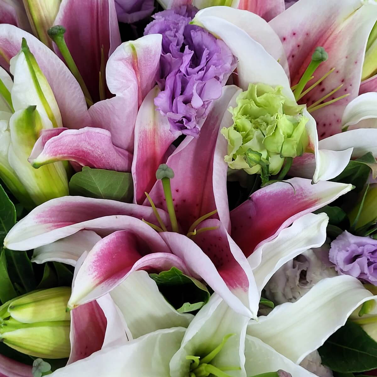 Macro view of pink stargazer lilies with green and purple lisianthus blooms and leafy accents | 香水百合特寫，粉紅花瓣點綴紫綠桔梗與青綠葉片，自然層次豐富。
