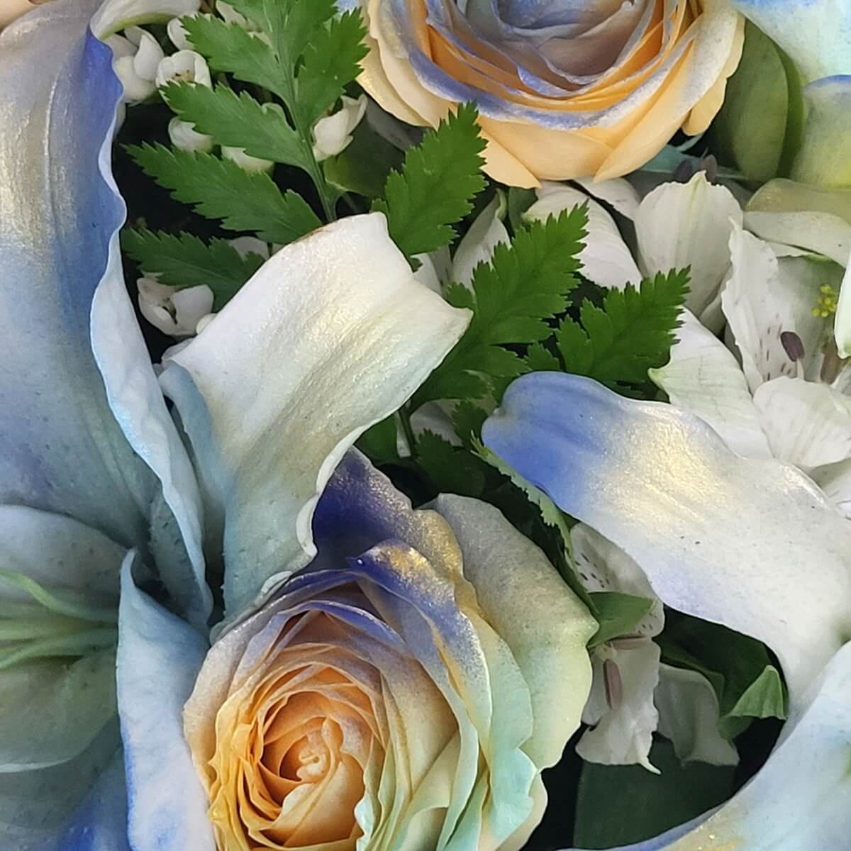 Close-up of cream roses and lilies brushed with blue and gold tones, accented by white alstroemeria and ferns 奶油玫瑰與白百合噴繪藍金漸層色，搭配白色六出花及蕨類葉材，營造夢幻視覺效果。