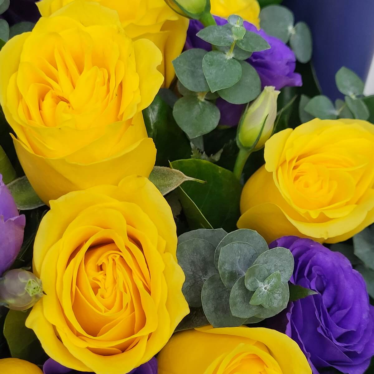 Zoomed-in view of fresh yellow roses and rich purple lisianthus, accented with eucalyptus leaves. 黃玫瑰和紫洋桔梗，配上尤加利葉的放大花卉視圖。
