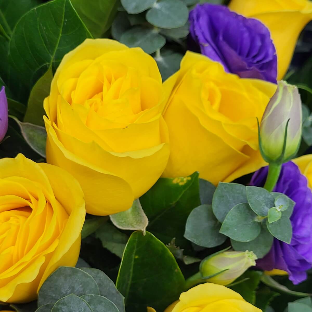 Close-up of layered yellow roses, violet lisianthus, and eucalyptus greenery with visible buds. 黃玫瑰、紫洋桔梗及含苞待放的尤加利葉組成的特寫花卉構圖。