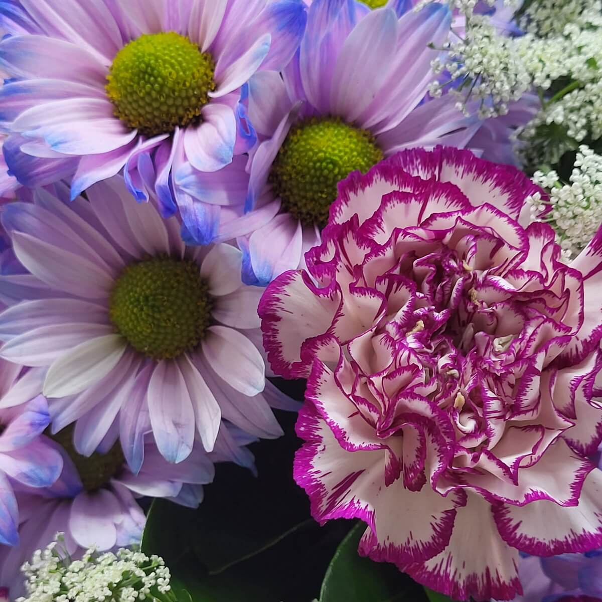 Detailed view of lavender-blue chrysanthemums and ruffled carnations edged in magenta, complemented by airy white filler blooms | 薰紫藍色菊花與波邊深紫康乃馨特寫，配以細緻白色配花清新襯托。