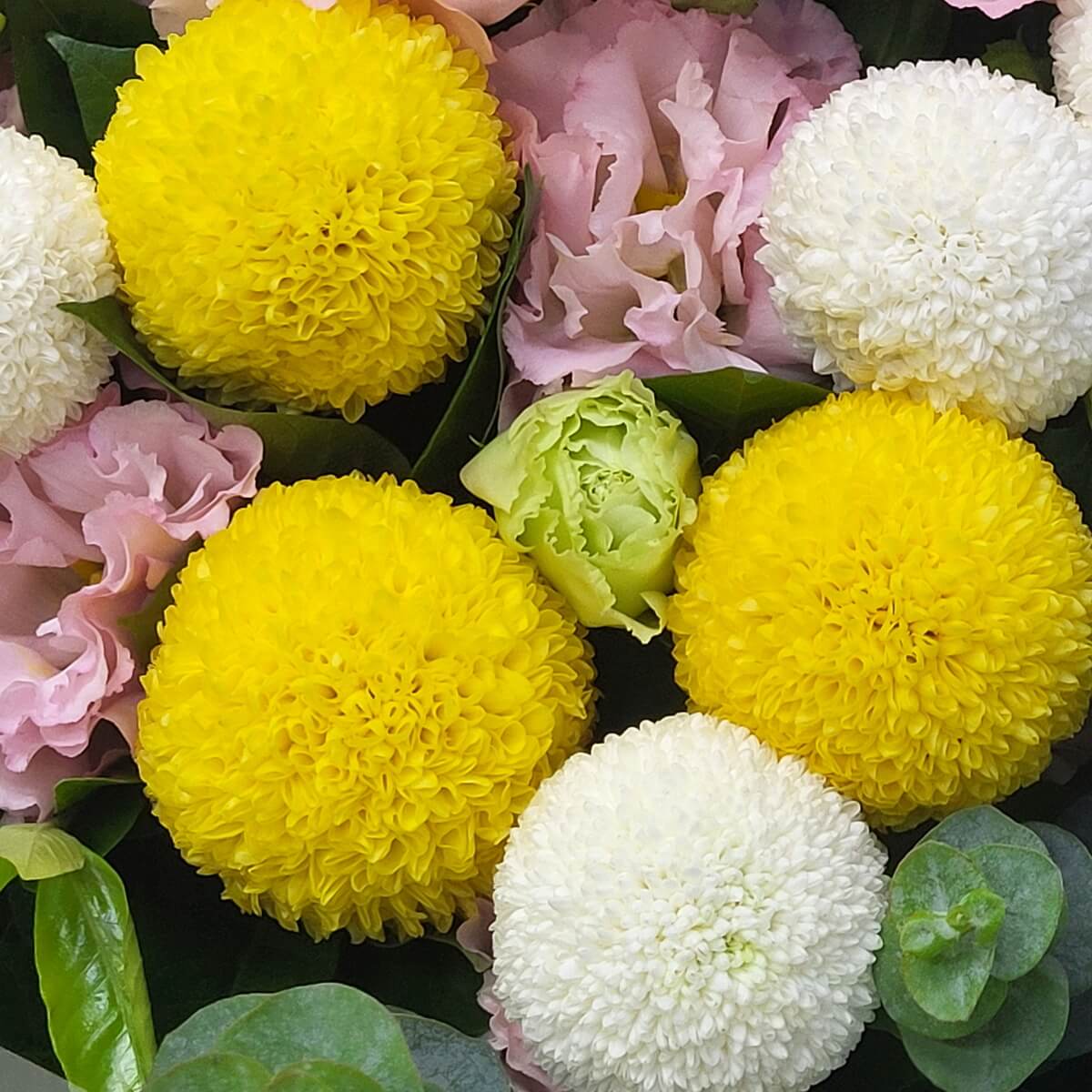 Detail view of yellow and white pompom chrysanthemums, accented with pink lisianthus and green buds | 黃白波波菊近拍，配以粉桔梗與嫩綠花苞，色彩柔和。