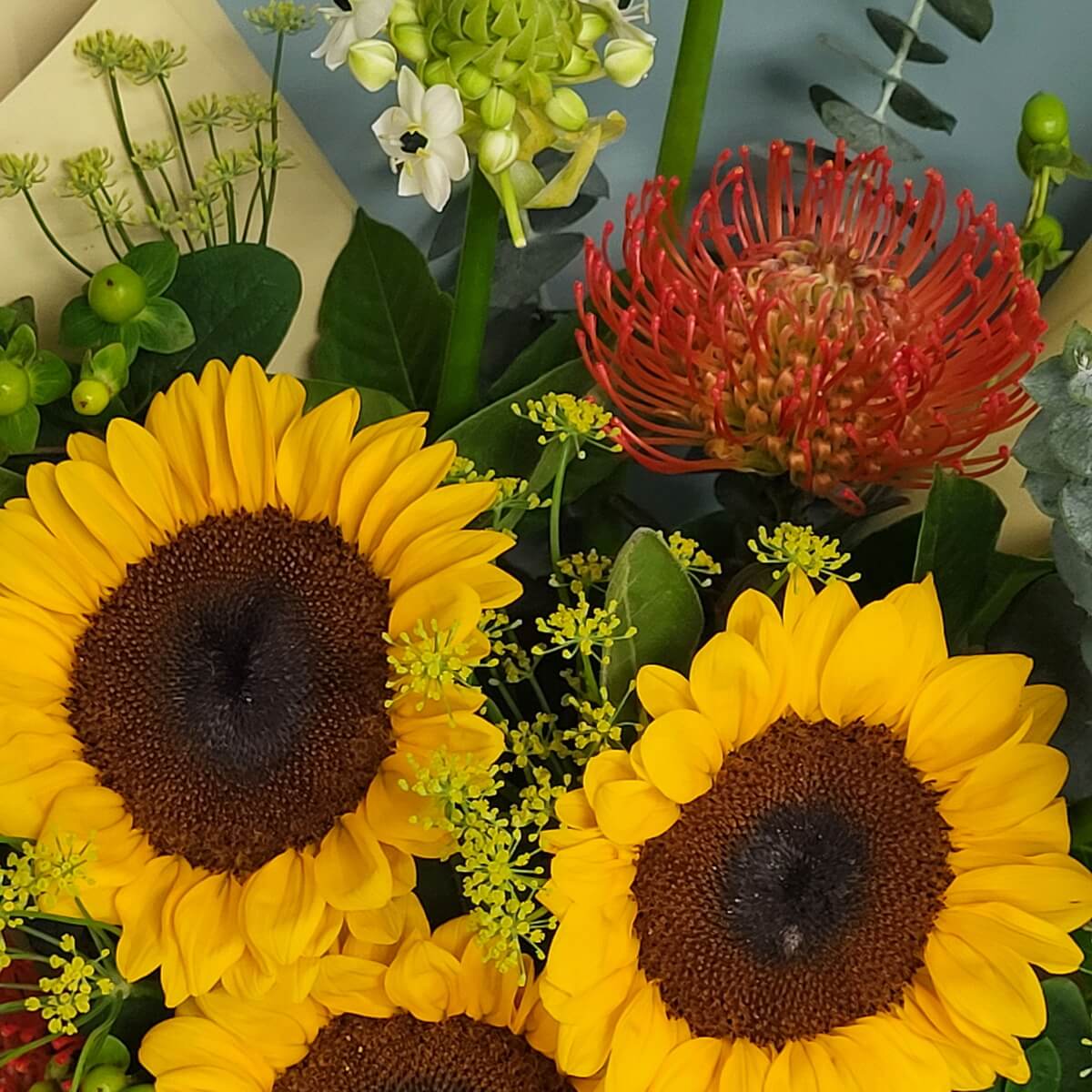 Top view of sunflowers with red pincushion protea, white ornithogalum, yellow dill flowers, hypericum berries, and eucalyptus. 向日葵搭配針墊花、白星花、小茴香花、貝母果及尤加利葉的混合花材俯視圖