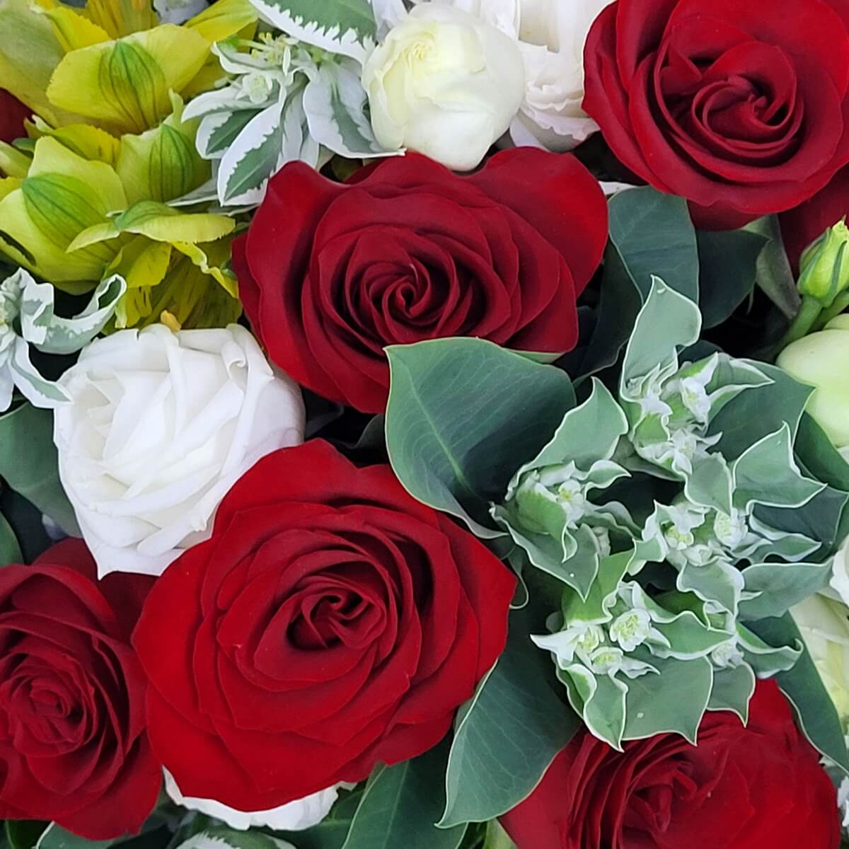 Detailed view of red and white roses, bright yellow alstroemeria, variegated foliage, and rosebuds in soft green | 紅白玫瑰、鮮黃金百合、斑紋葉片及嫩綠玫瑰花苞組成的豐富花束特寫。