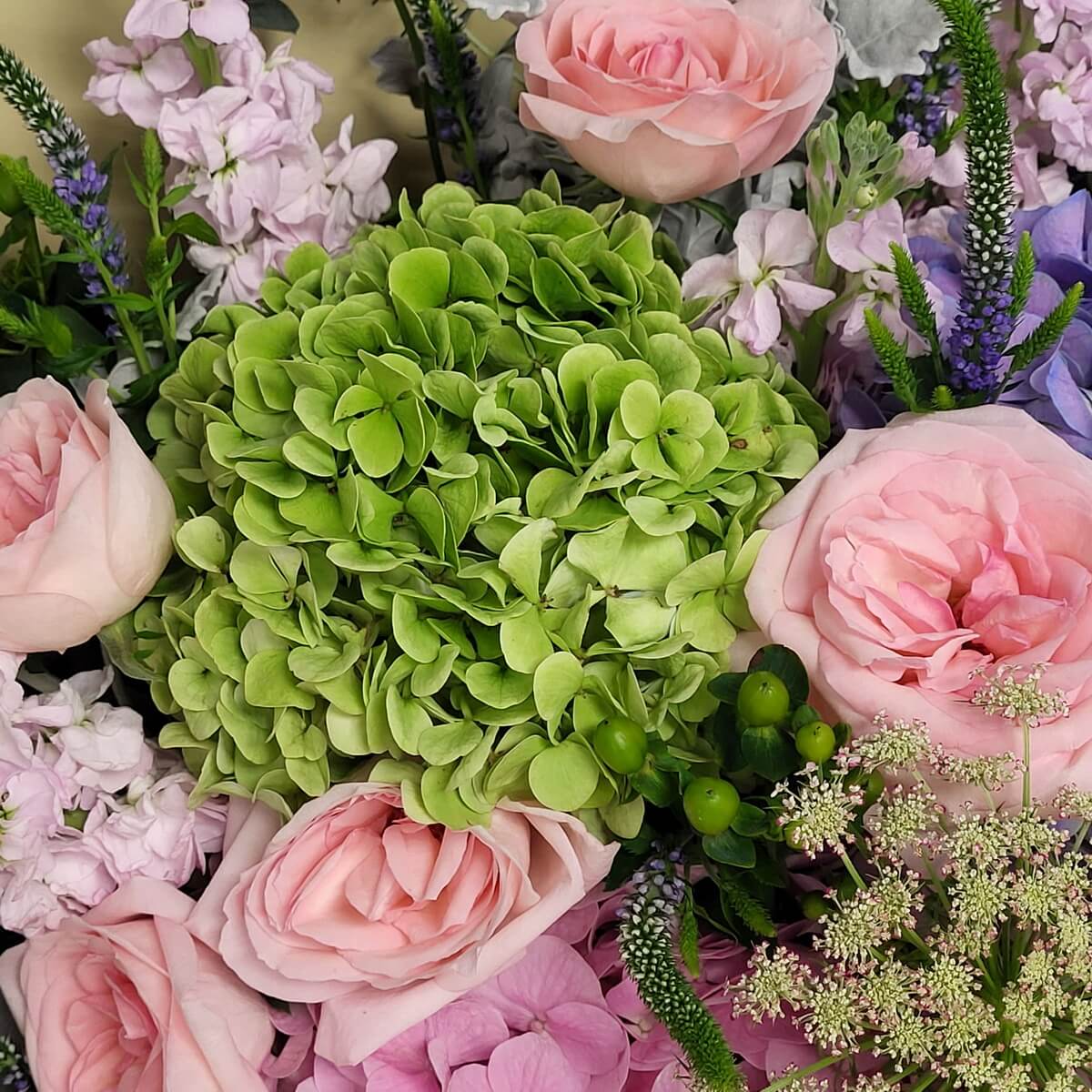 Close-up of green hydrangea with blush pink roses, lilac stock, and Queen Anne’s lace 花球狀綠色繡球花，襯以粉紅玫瑰、紫丁香及白色蕾絲花特寫。
