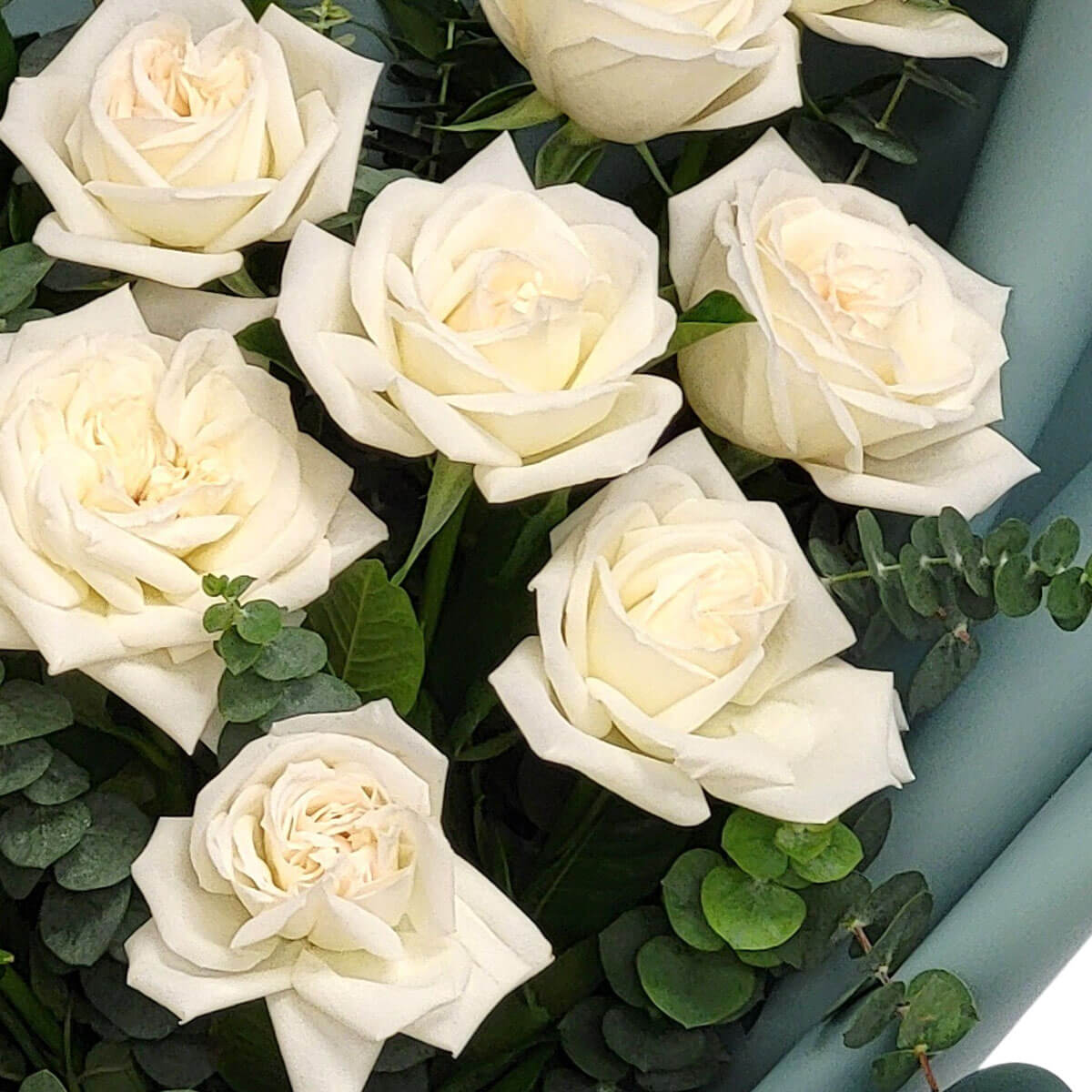 Ivory white roses and silver-toned eucalyptus create a serene, elegant bouquet 象牙白玫瑰與銀綠色尤加利葉相襯，展現簡約之美，溫柔且平靜。