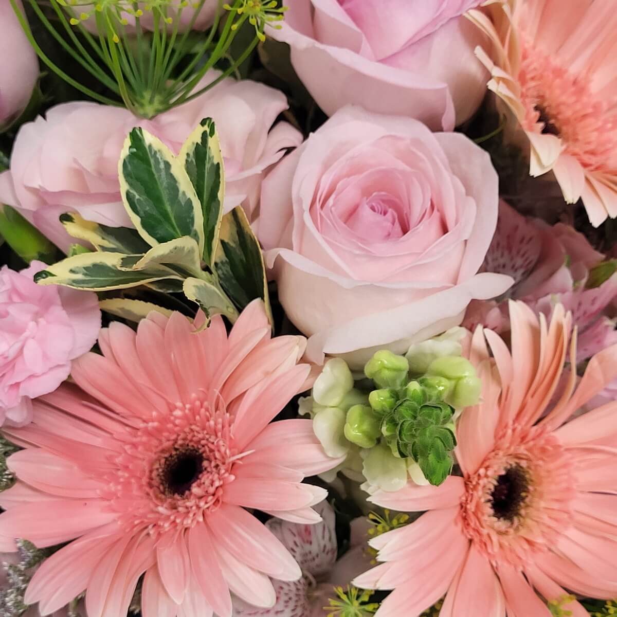 Close-up of pink gerberas, roses, and carnations with greenery 粉紅非洲菊、玫瑰與康乃馨的特寫鏡頭，搭配綠葉點綴。