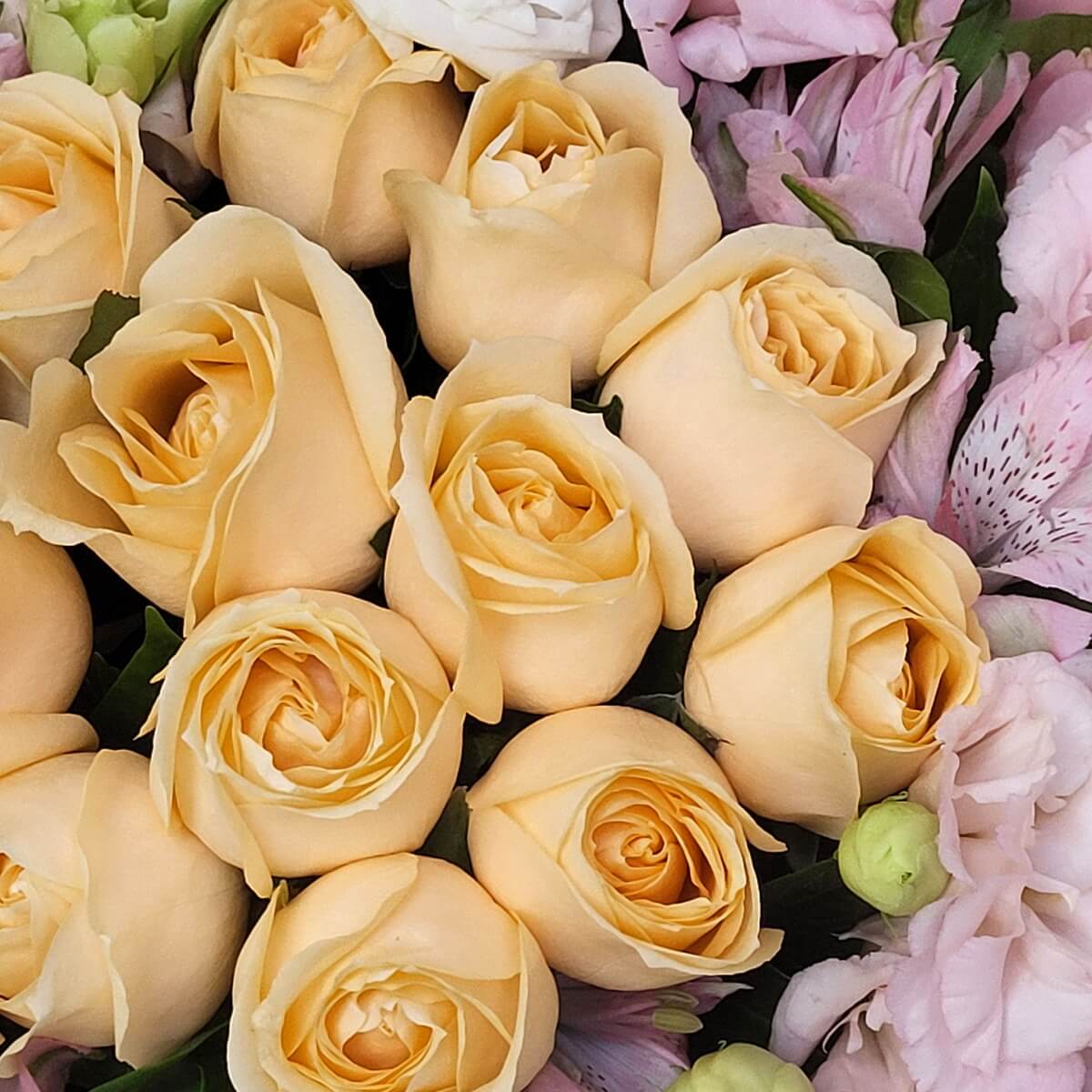 Close-up of clustered champagne roses with pink lisianthus and lavender alstroemeria petals | 香檳玫瑰密集特寫，配粉紅桔梗與淡紫六出花花瓣。