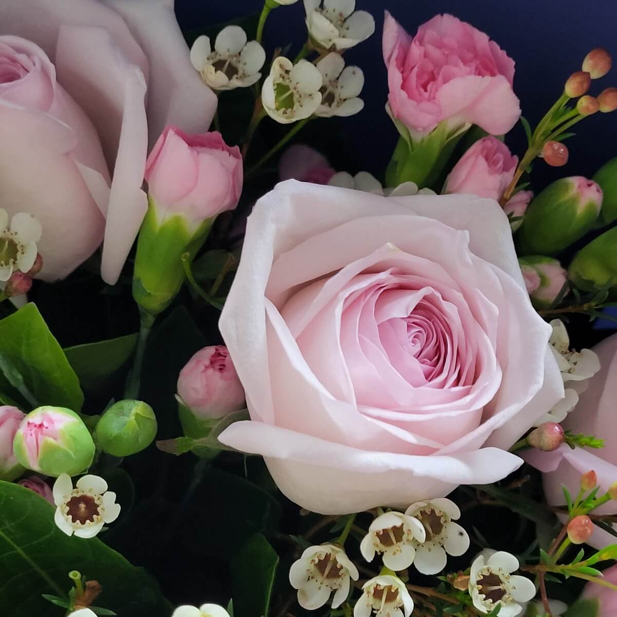 Zoomed-in view of blush pink roses, small spray carnations, waxflowers, and green buds. 粉紅玫瑰、小型康乃馨、蠟花與綠色花苞的放大構圖。
