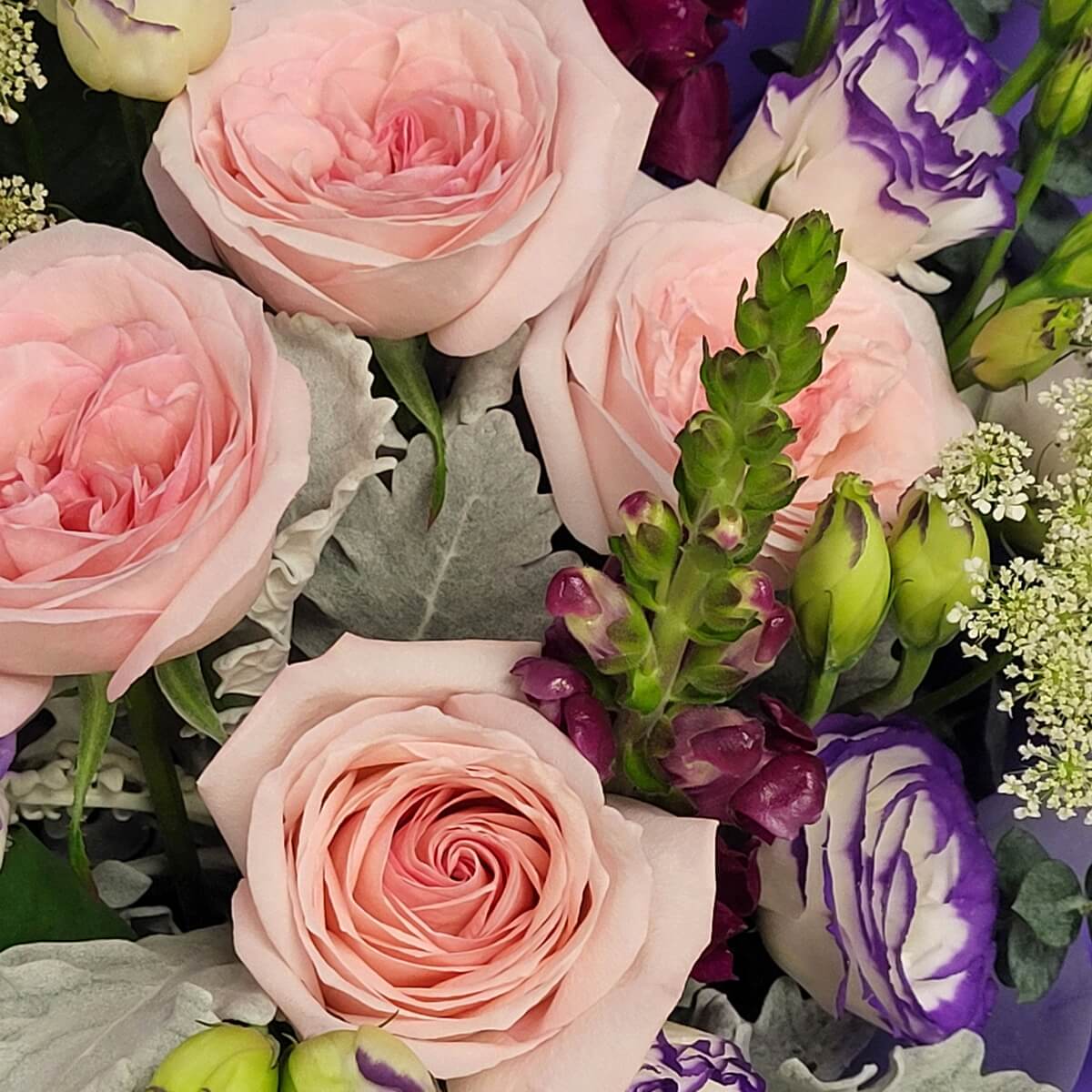 Close-up of pink roses, purple-white lisianthus, and snapdragons 粉紅玫瑰、紫白雙色洋桔梗及龍頭花特寫，點綴白色蕾絲花。
