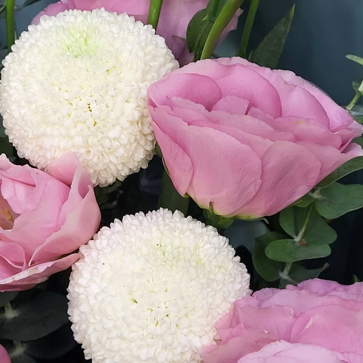 Macro view of pink lisianthus and white button chrysanthemums with eucalyptus leaves and soft green foliage. 粉紅洋桔梗搭配白色乒乓菊、尤加利葉和柔綠葉材的近距離特寫畫面。