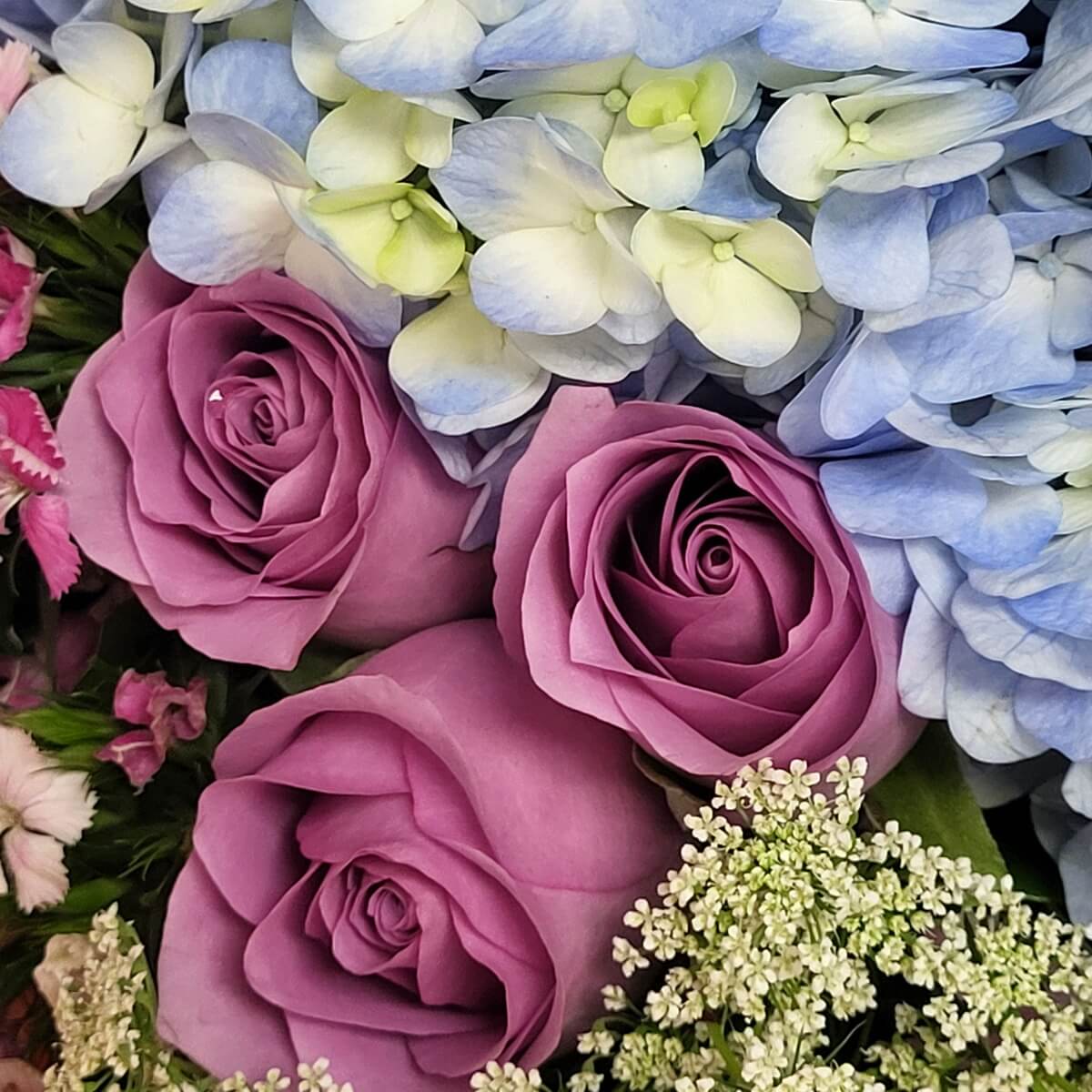 Close-up of mauve roses nestled among pale blue hydrangeas and delicate white filler flowers. | 淡紫玫瑰與淺藍繡球花及細緻白色配花的特寫圖像。