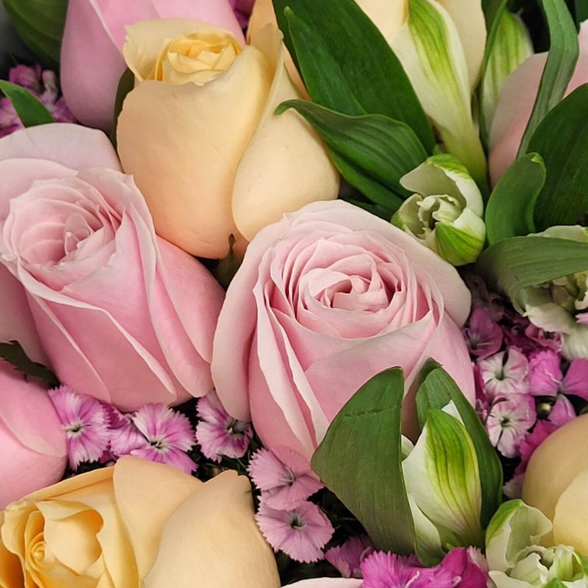 Detailed close-up of pale pink and champagne roses, white alstroemeria buds, and clusters of small purple dianthus blooms 特寫顯示淡粉與香檳玫瑰、白色六出花苞及一束束紫色石竹小花