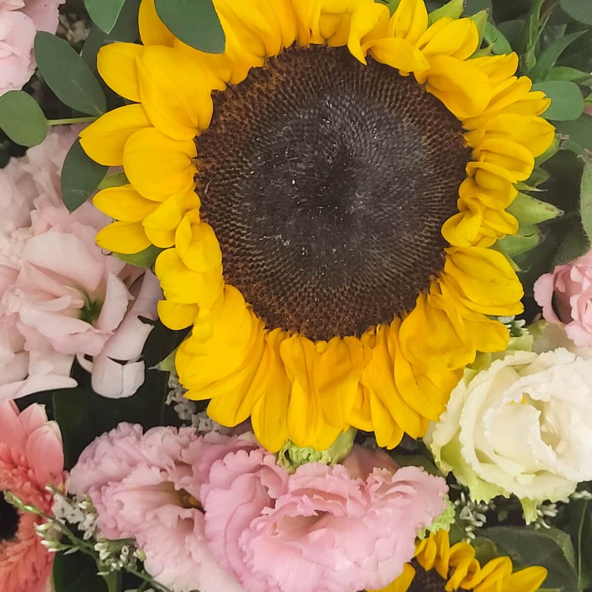 Bold sunflower bloom framed by ruffled pink and white lisianthus, peach gerbera, and eucalyptus foliage | 向日葵花朵鮮明奪目，襯以粉白桔梗、粉橙非洲菊與青綠尤加利葉，色彩對比鮮明。