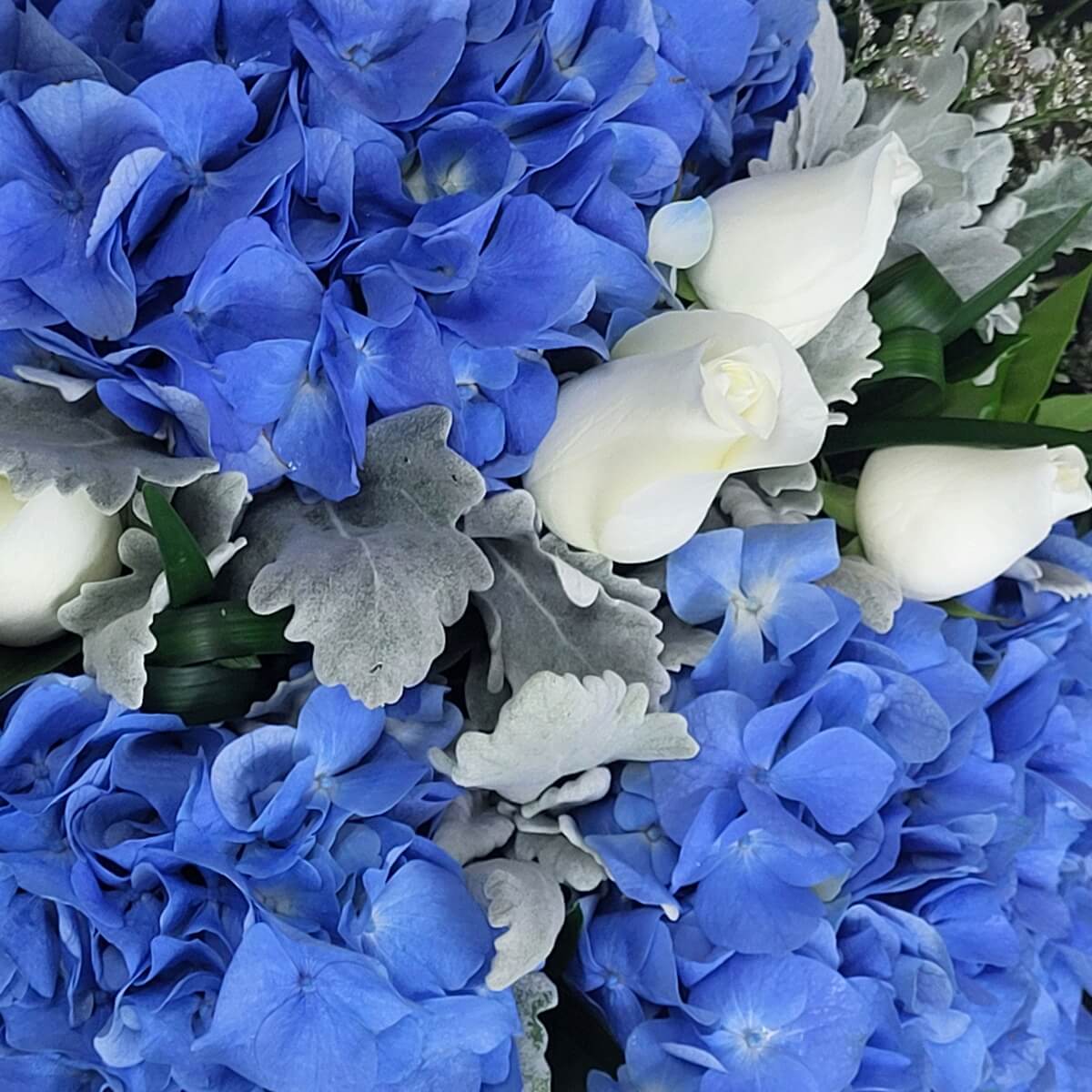 Zoomed-in view of blue hydrangeas paired with white tulips and dusty miller foliage in layered textures | 特寫畫面呈現藍繡球、白鬱金香與銀葉菊層次分明的搭配。