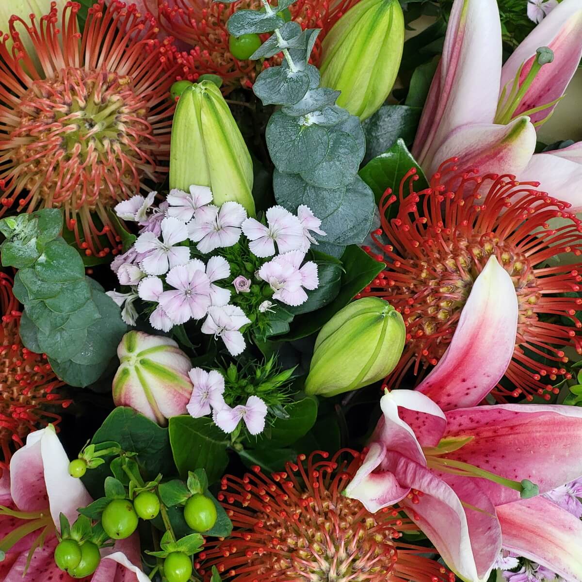 Top view of pink lilies, pincushion proteas, dianthus, and green hypericum with eucalyptus. 粉紅百合、針墊花、石竹與綠色貝母果搭配尤加利葉的俯視圖。