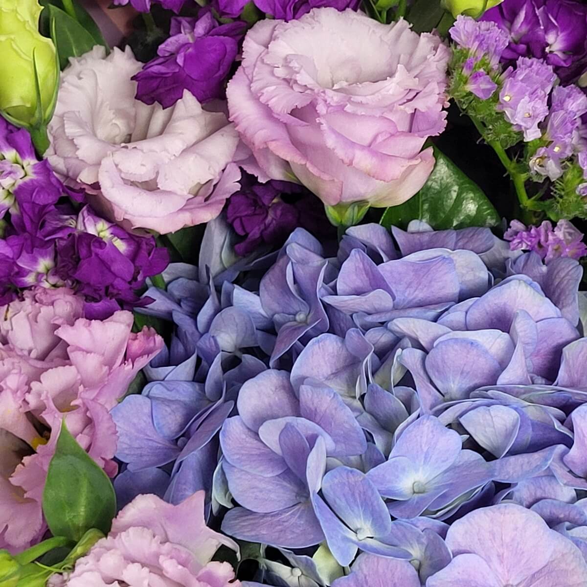 Close-up of lavender hydrangea with purple lisianthus, violet statice, and lilac stock 粉紫色繡球花特寫，襯以紫色洋桔梗、紫羅蘭色勿忘我及淡紫丁香花。