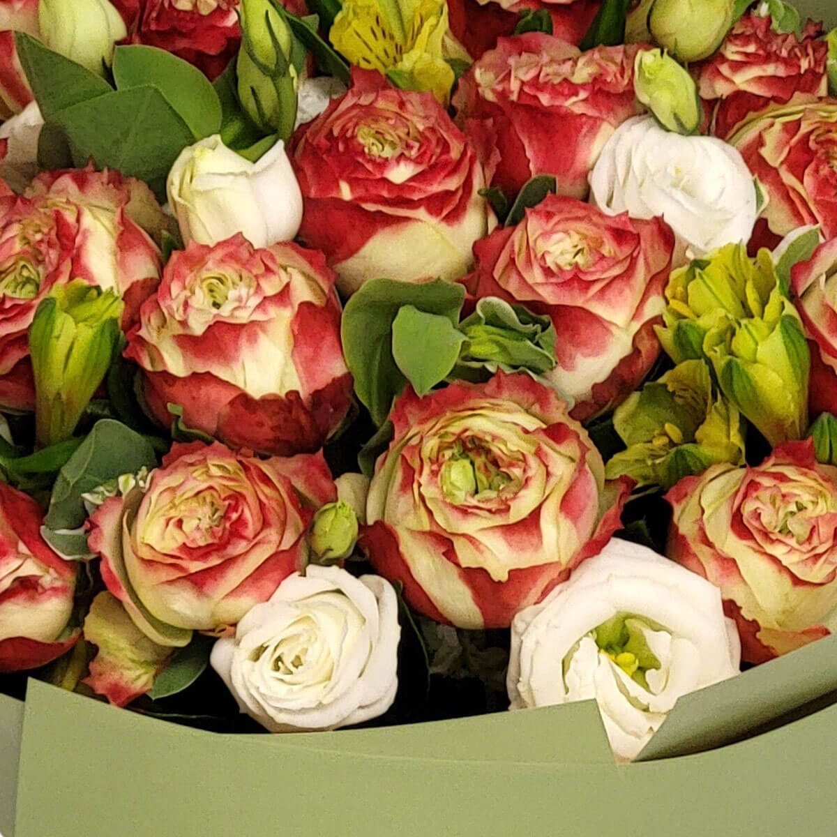 A bouquet of ruffled red-cream roses, white lisianthus, and green-yellow alstroemeria 雙色玫瑰花瓣層次分明，搭配白色桔梗與翠綠花材，營造溫潤典雅氛圍。