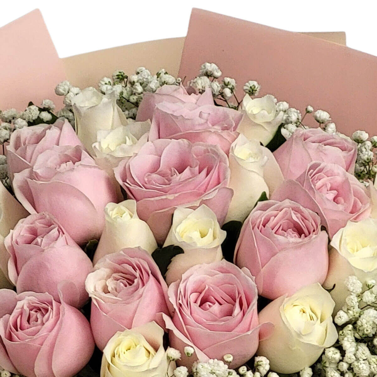A bouquet of soft pink and creamy white roses, elegantly framed with baby's breath flowers 溫柔粉白玫瑰與滿天星點綴，展現純粹且細膩的愛意。