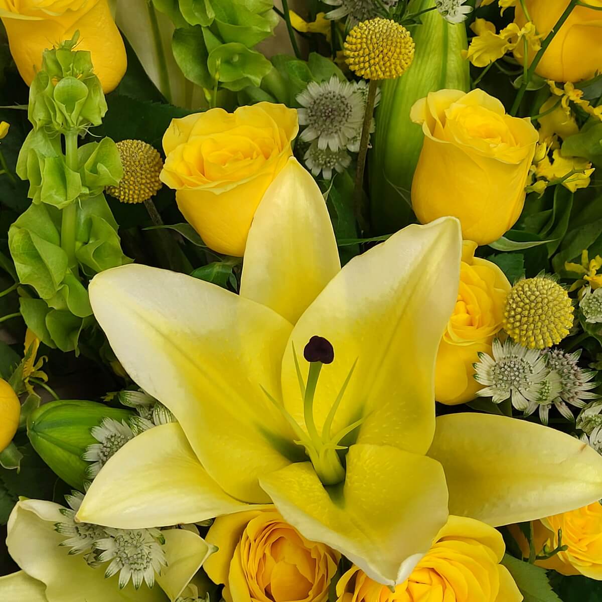 Detailed close-up of blooming yellow lily with yellow roses, lush greens and small fillers - 金黃百合與黃玫瑰特寫，綠葉與配花點綴，層次分明。