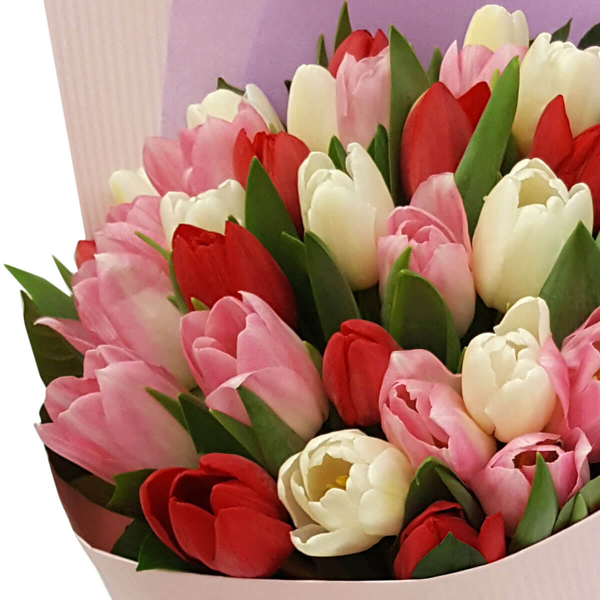 Full tulip bouquet featuring red, pink, and white blooms with fresh green leaves, wrapped in soft-toned lilac and blush paper - 紅、粉紅與白色鬱金香配嫩綠葉，柔和淡紫粉紅包裝的完整花束