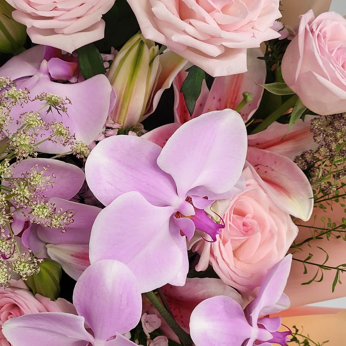 Close-up of pale pink Phalaenopsis orchids, blush roses, stargazer lilies, and white Queen Anne’s lace 淡粉色蝴蝶蘭特寫，配以柔粉玫瑰、香水百合及白色蕾絲花，營造典雅色調。